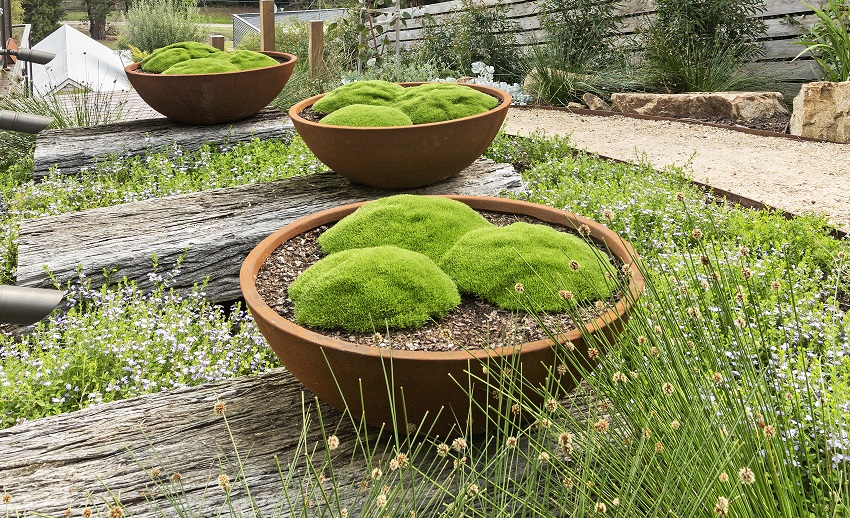 coastal landscape design with feature pots