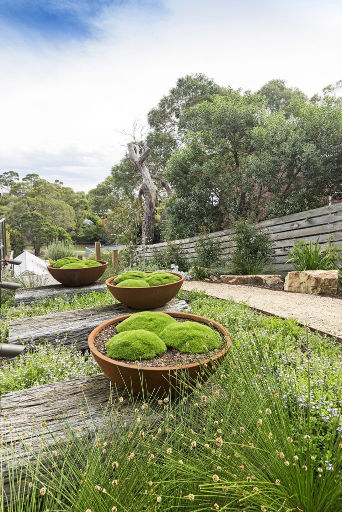 coastal hillside landscape with pots and path