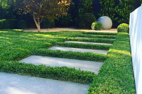 buxus ball and steppers in lawn