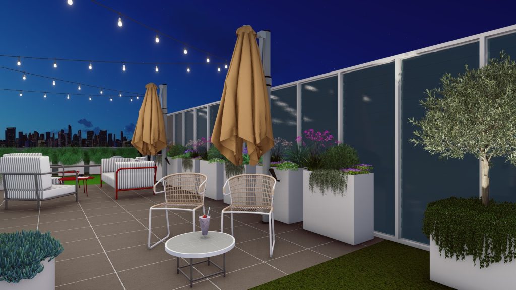 Rooftop landscape design