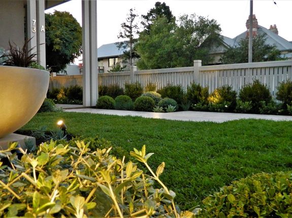 buxus ball plantings in modern front yard
