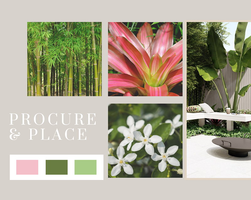 procure and place plants by anthony scott landscape design