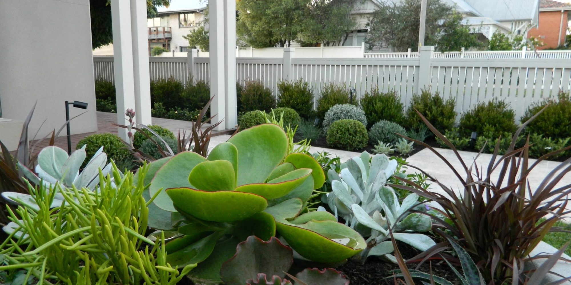planting your garden and plants for Melbourne